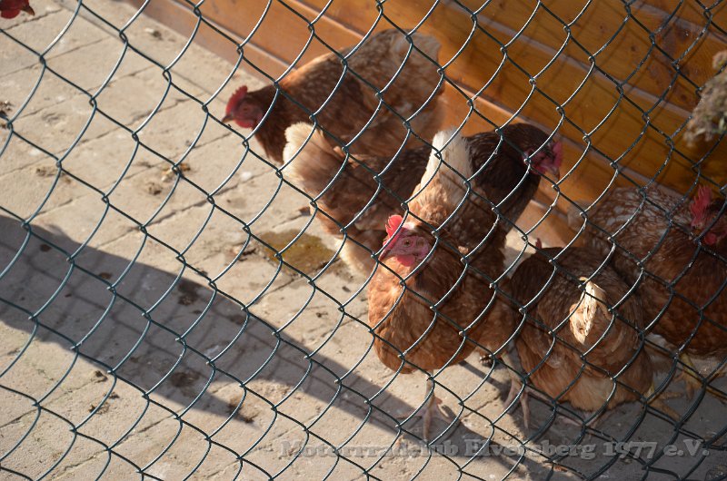 Schwarzwald 2021 - 040